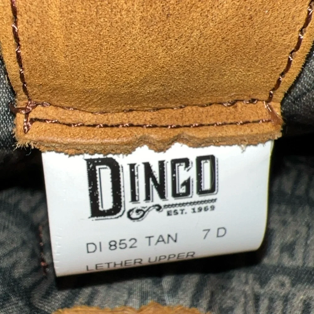 dingo new without